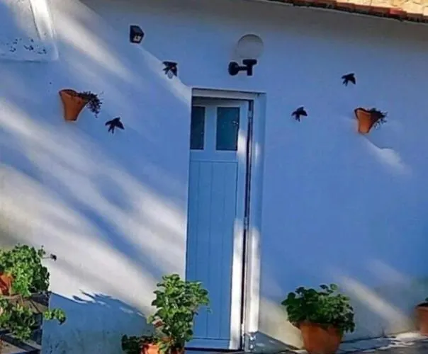 Anexo Na Quintinha 칼다스하이냐